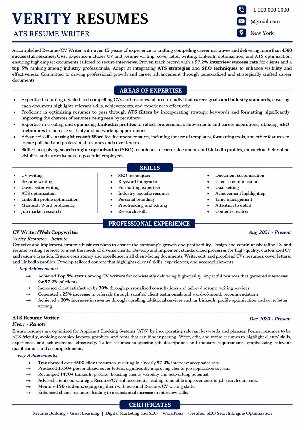 Modern Executive resume sample